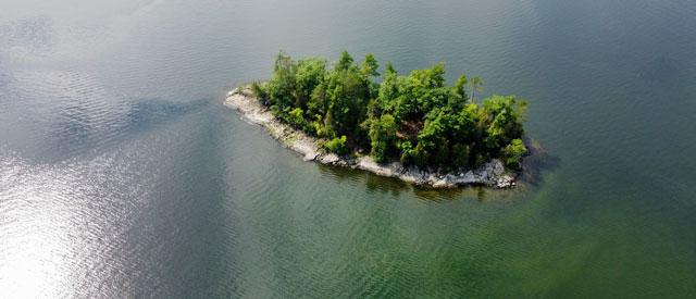 an island with trees.